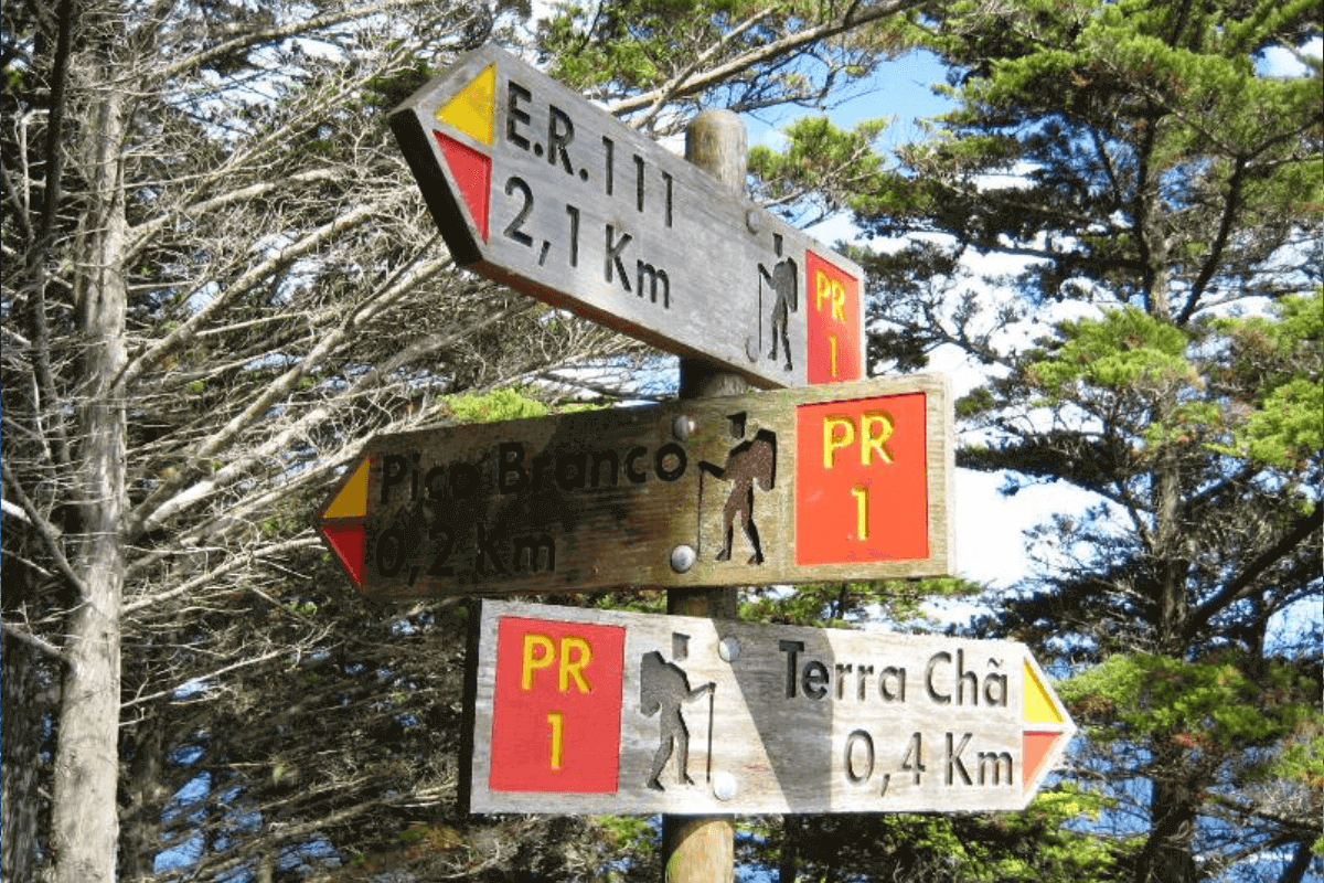 Vereda do Pico Branco e Terra Chã - Ilha do Porto Santo